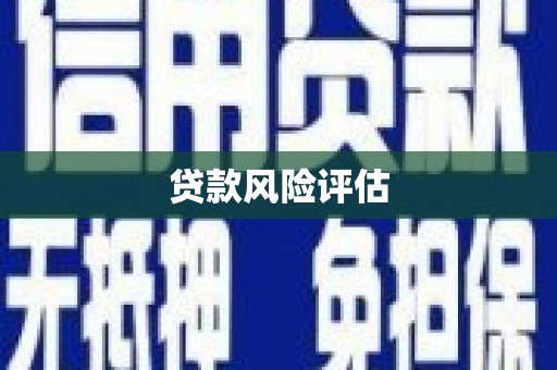 民丰贷款风险评估