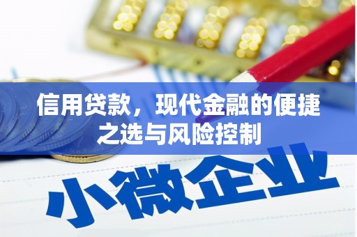 民丰信用贷款，现代金融的便捷之选与风险控制