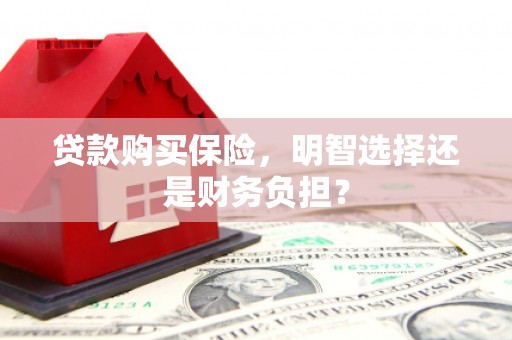 民丰贷款购买保险，明智选择还是财务负担？