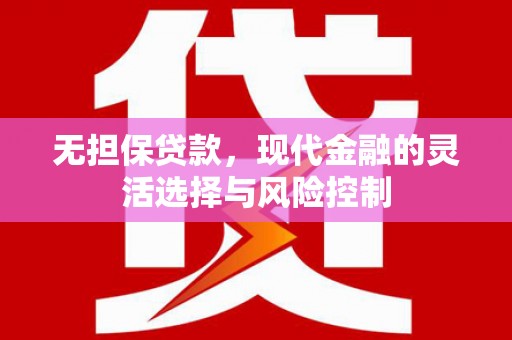 民丰无担保贷款，现代金融的灵活选择与风险控制