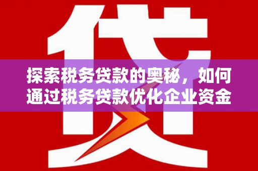 民丰探索税务贷款的奥秘，如何通过税务贷款优化企业资金流