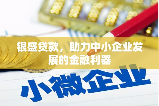 民丰银盛贷款，助力中小企业发展的金融利器