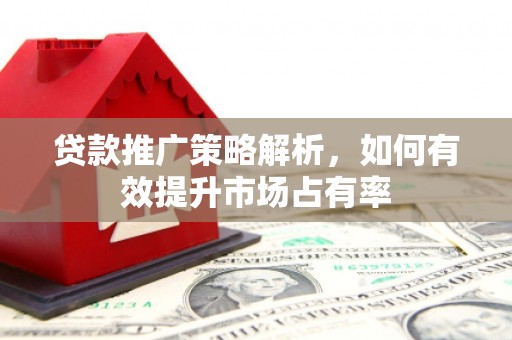 民丰贷款推广策略解析，如何有效提升市场占有率