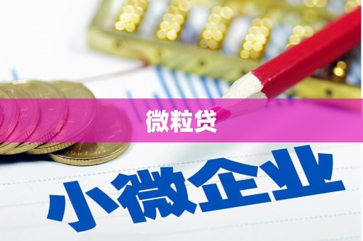民丰微粒贷