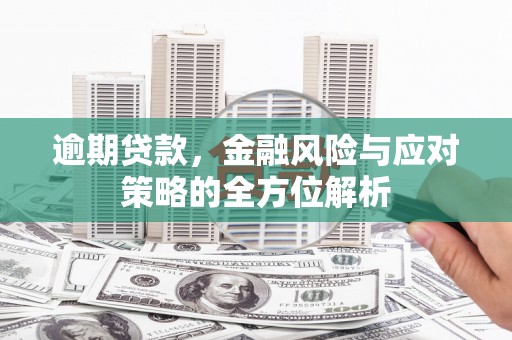 民丰逾期贷款，金融风险与应对策略的全方位解析