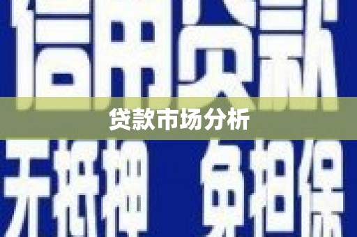 民丰贷款市场分析