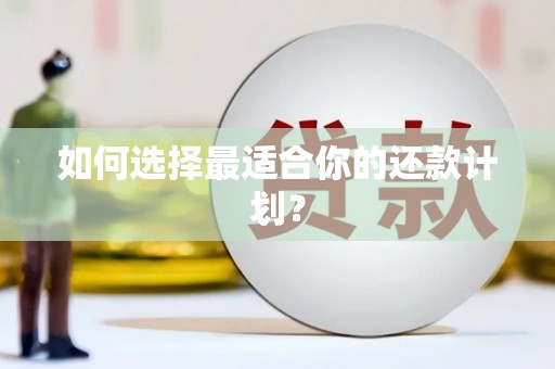 民丰如何选择最适合你的还款计划？