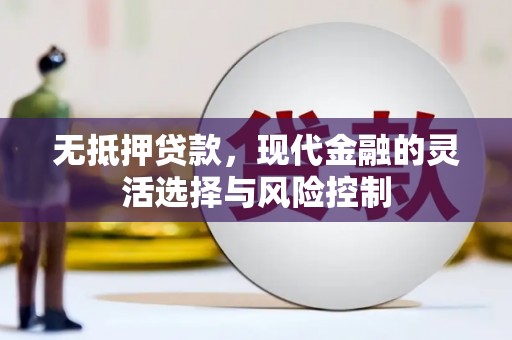 民丰无抵押贷款，现代金融的灵活选择与风险控制