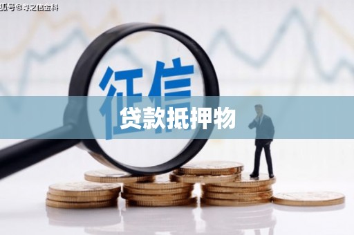 民丰贷款抵押物