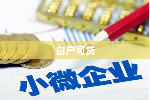民丰白户可贷