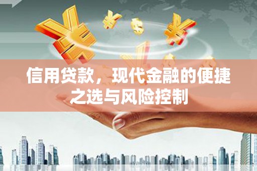 民丰信用贷款，现代金融的便捷之选与风险控制