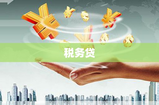 民丰税务贷