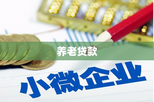 民丰养老贷款