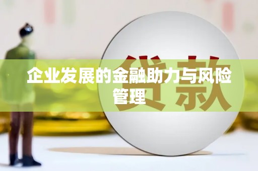民丰企业发展的金融助力与风险管理