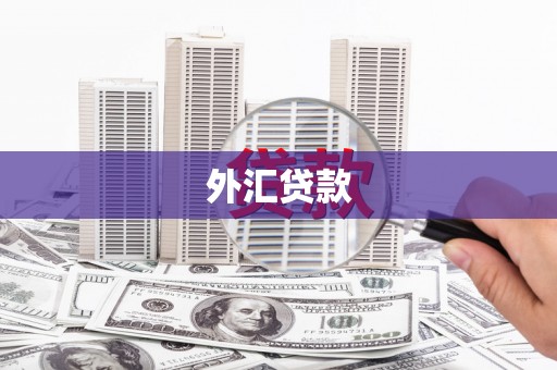 民丰外汇贷款
