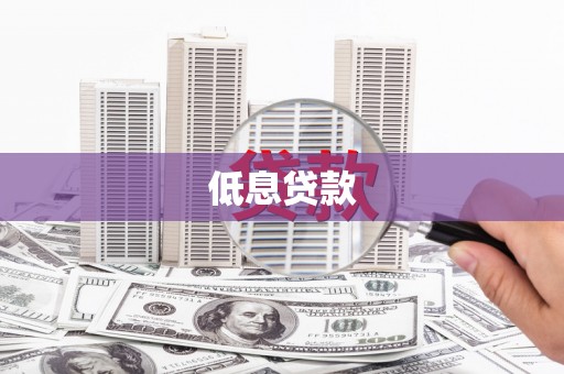 民丰低息贷款