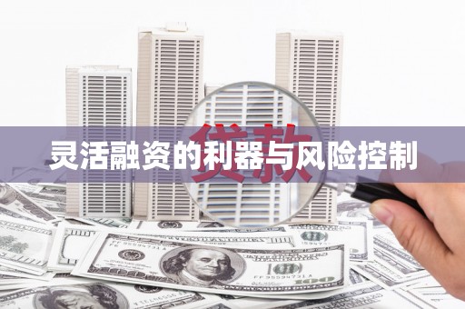 民丰灵活融资的利器与风险控制