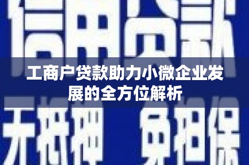 民丰工商户贷款助力小微企业发展的全方位解析