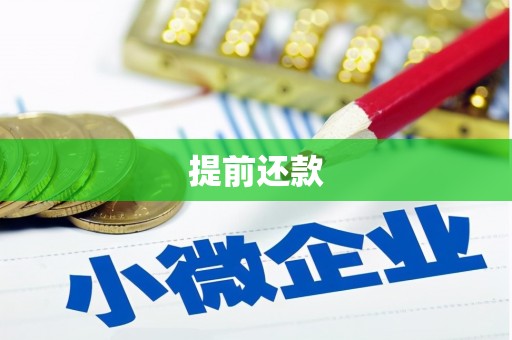 民丰提前还款