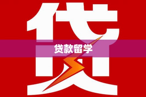 民丰贷款留学