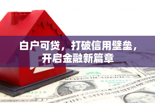民丰白户可贷，打破信用壁垒，开启金融新篇章