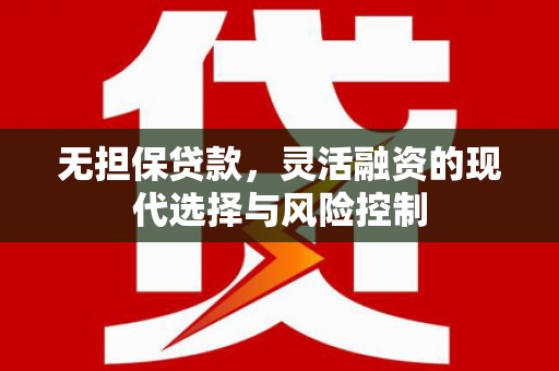 民丰无担保贷款，灵活融资的现代选择与风险控制