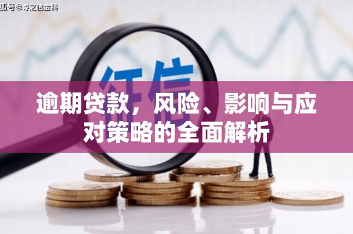 民丰逾期贷款，风险、影响与应对策略的全面解析