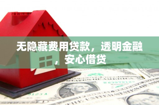 民丰无隐藏费用贷款，透明金融，安心借贷