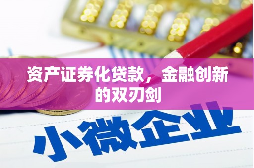 民丰资产证券化贷款，金融创新的双刃剑