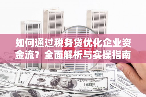 民丰如何通过税务贷优化企业资金流？全面解析与实操指南