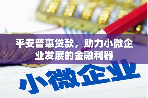民丰平安普惠贷款，助力小微企业发展的金融利器