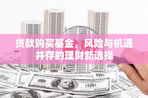 民丰贷款购买基金，风险与机遇并存的理财新选择