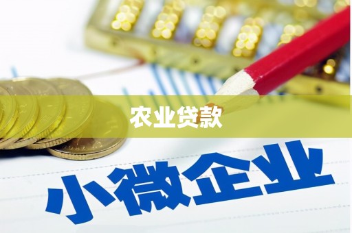 民丰农业贷款