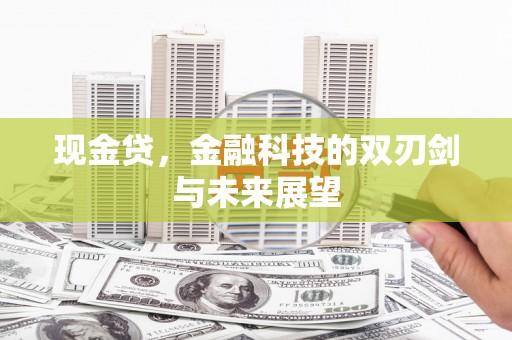 民丰现金贷，金融科技的双刃剑与未来展望