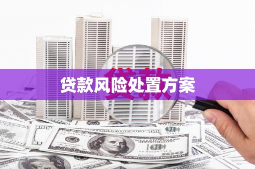 民丰贷款风险处置方案