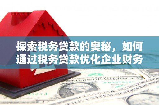 民丰探索税务贷款的奥秘，如何通过税务贷款优化企业财务