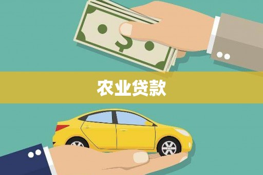 民丰农业贷款