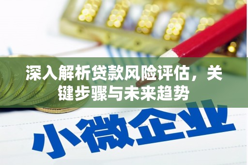 民丰深入解析贷款风险评估，关键步骤与未来趋势