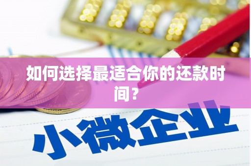 民丰如何选择最适合你的还款时间？