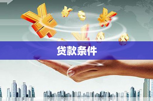 民丰贷款条件