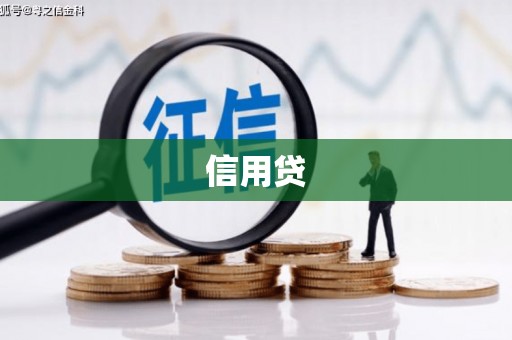 民丰信用贷