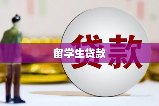 民丰留学生贷款