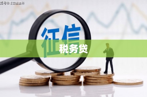 民丰税务贷
