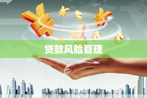 民丰贷款风险管理