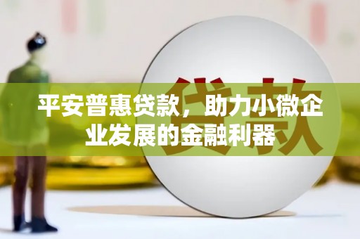 民丰平安普惠贷款，助力小微企业发展的金融利器