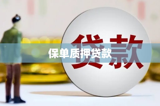 民丰保单质押贷款
