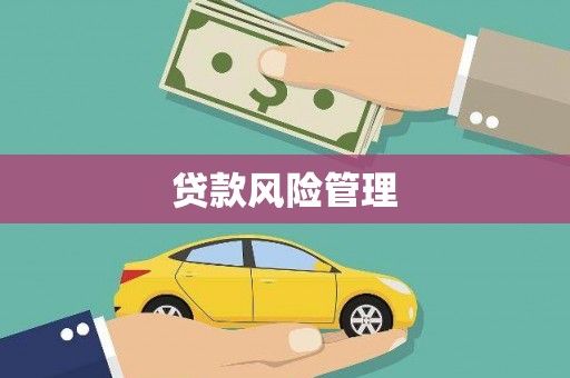 民丰贷款风险管理