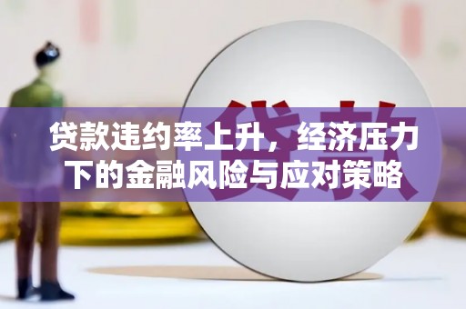 民丰贷款违约率上升，经济压力下的金融风险与应对策略
