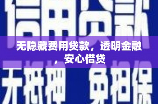 民丰无隐藏费用贷款，透明金融，安心借贷