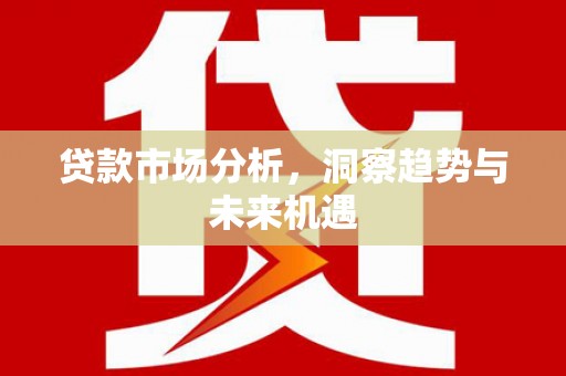 民丰贷款市场分析，洞察趋势与未来机遇